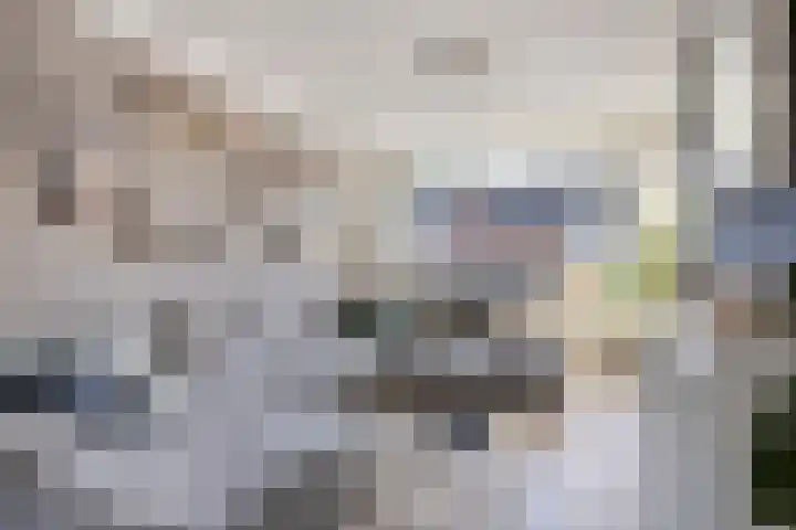 Johannes Vermeerstraat 16 Terneuzen thumbnail 4