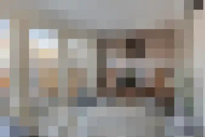 Johannes Vermeerstraat 16 Terneuzen thumbnail 7