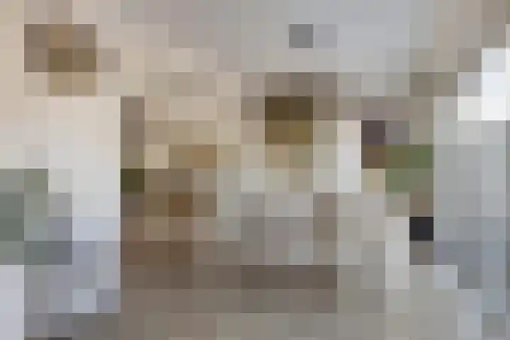 Johannes Vermeerstraat 16 Terneuzen thumbnail 8