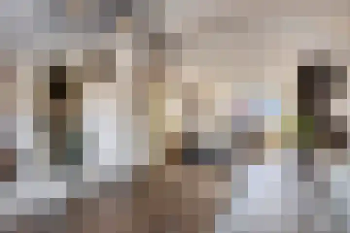 Johannes Vermeerstraat 16 Terneuzen thumbnail 9