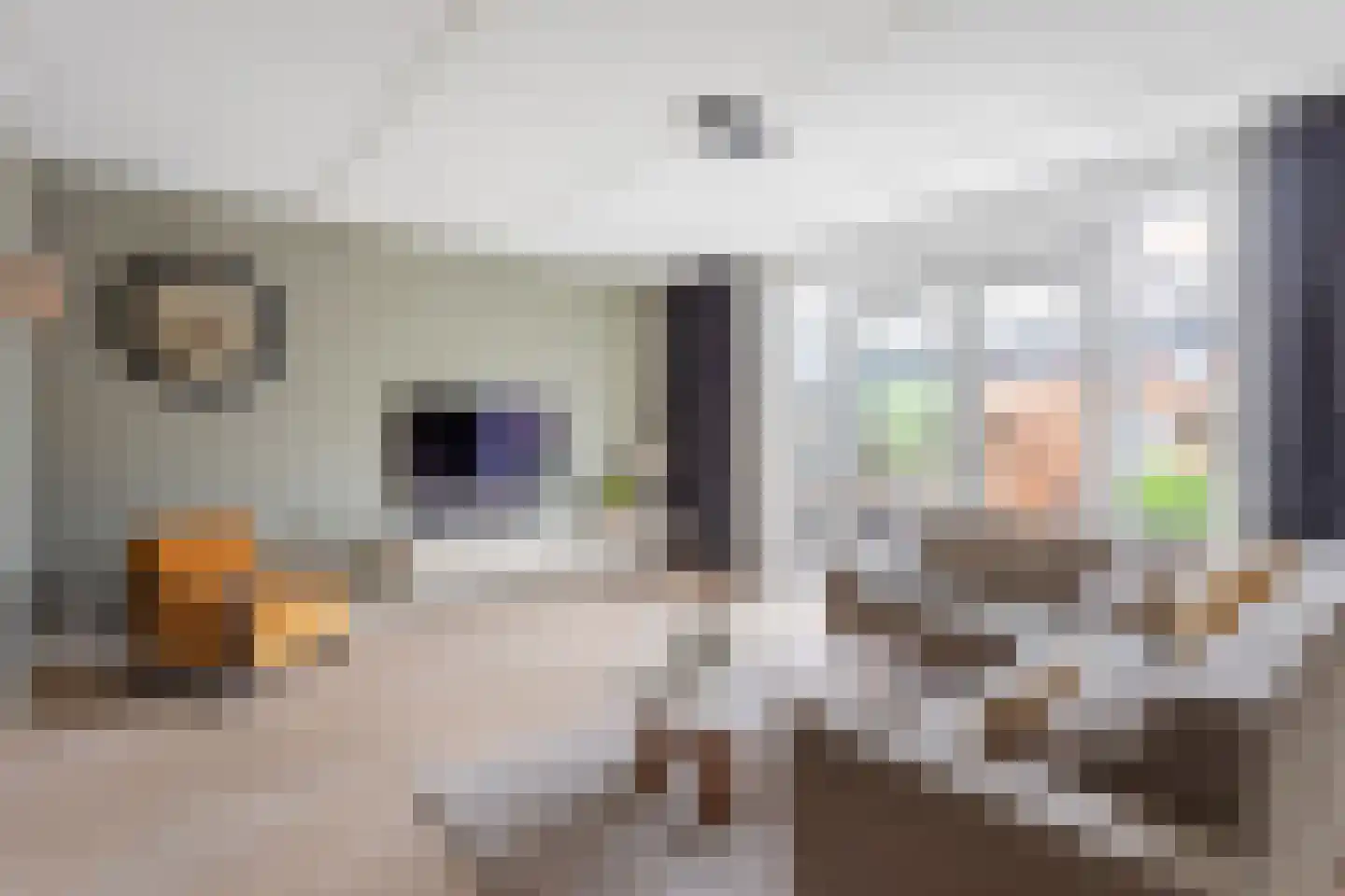 Johannes Vermeerstraat 17 Hengelo thumbnail 13