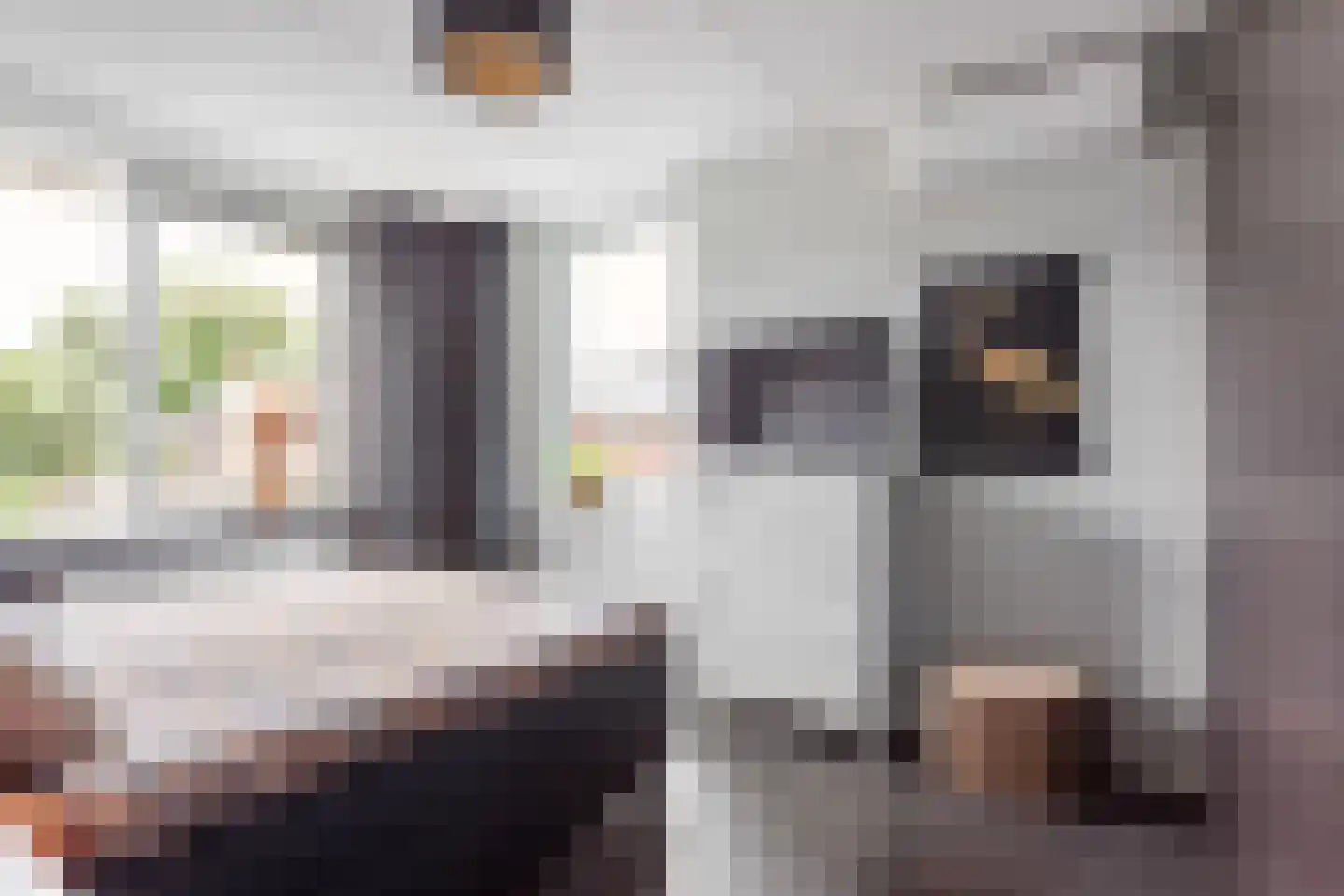 Johannes Vermeerstraat 17 Hengelo thumbnail 15