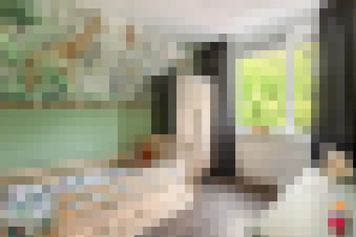 Johannes Vermeerstraat 17 Hengelo thumbnail 16