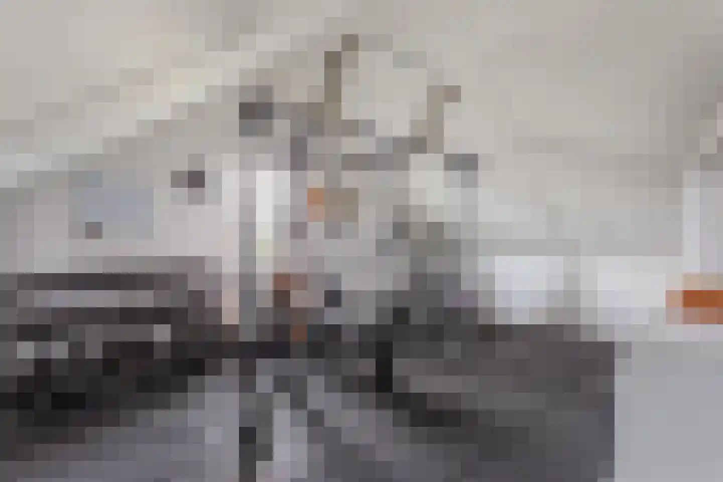 Johannes Vermeerstraat 17 Hengelo thumbnail 18