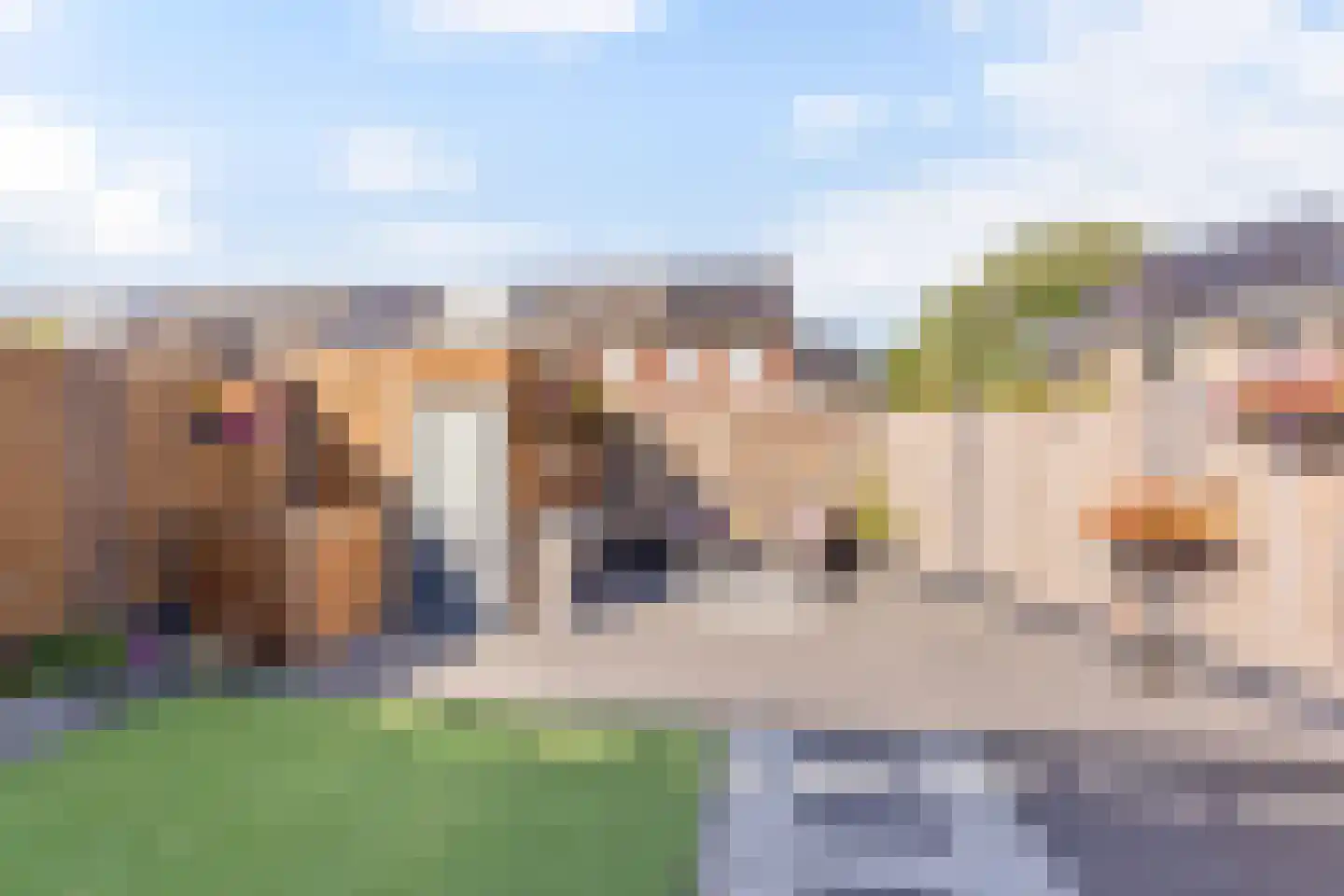 Johannes Vermeerstraat 17 Hengelo thumbnail 21