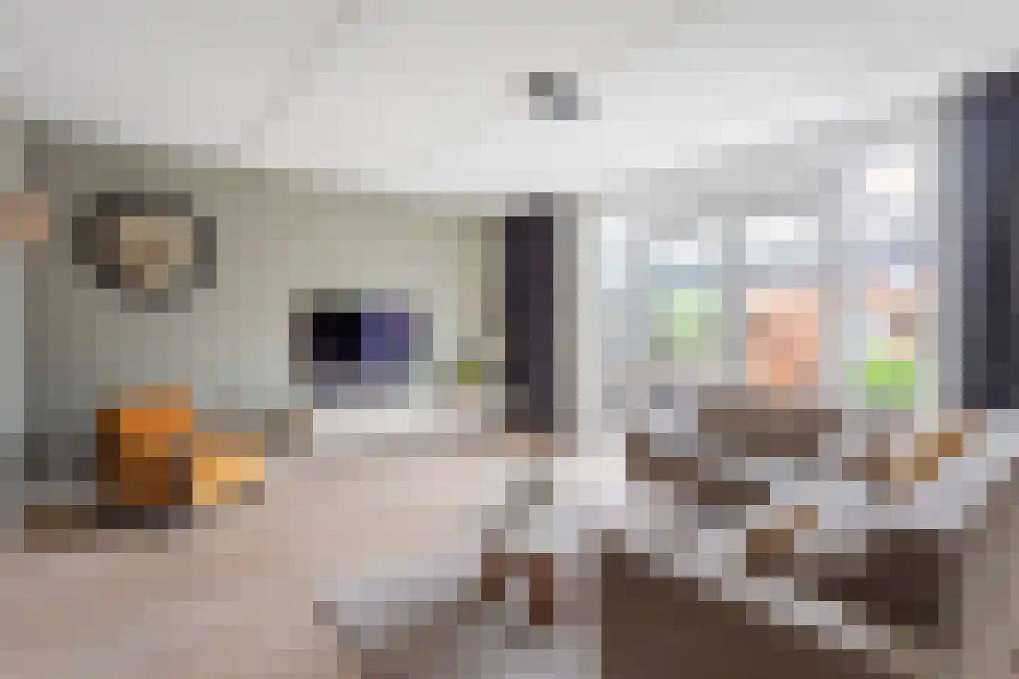 Johannes Vermeerstraat 17 Hengelo thumbnail 7