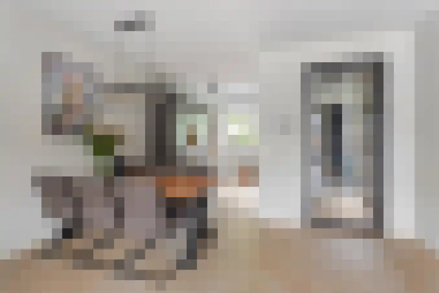 Johannes Vermeerstraat 17 Hengelo thumbnail 9