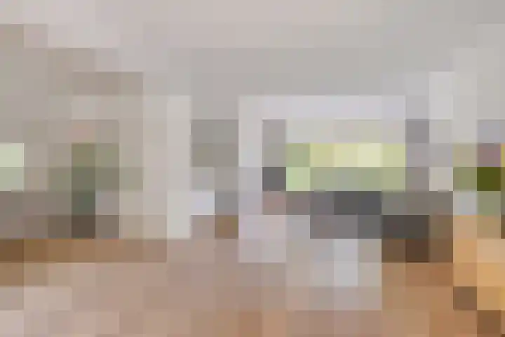 Johannes Vermeerstraat 17 Oisterwijk thumbnail 14
