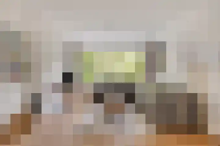 Johannes Vermeerstraat 17 Oisterwijk thumbnail 15