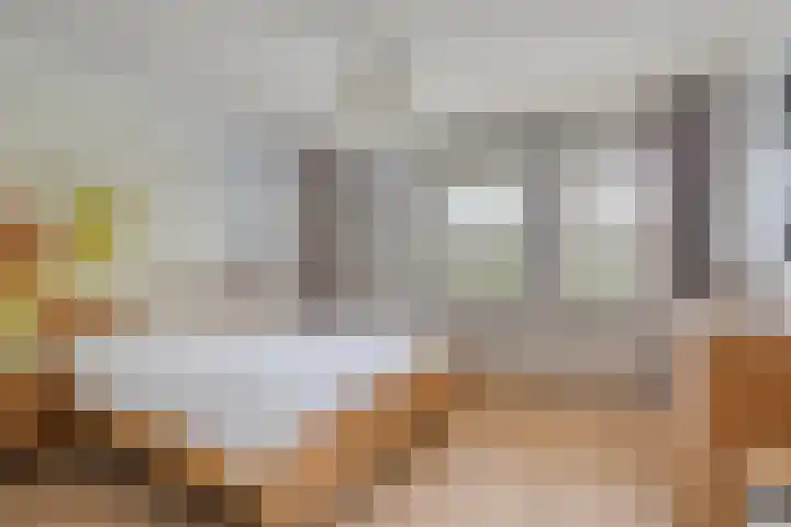 Johannes Vermeerstraat 17 Oisterwijk thumbnail 24