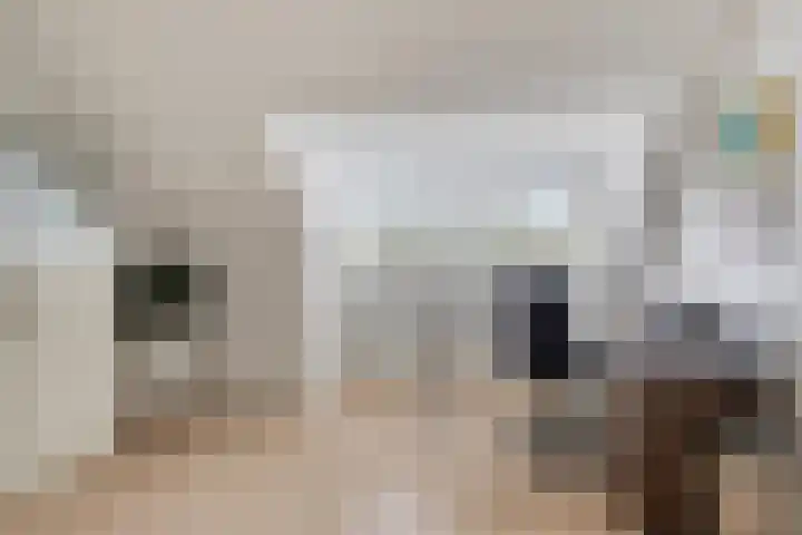 Johannes Vermeerstraat 17 Oisterwijk thumbnail 31