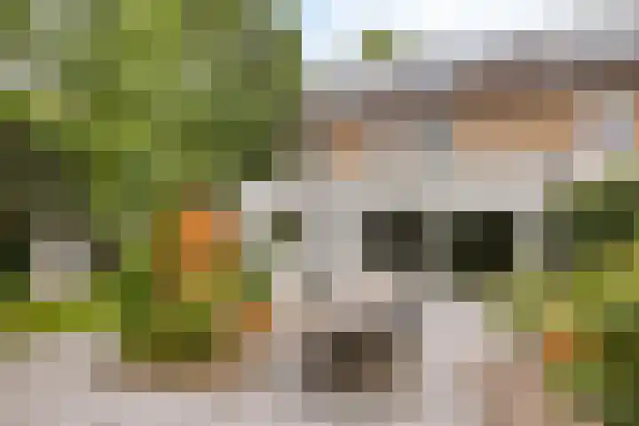 Johannes Vermeerstraat 17 Oisterwijk thumbnail 33