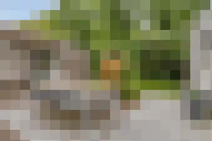 Johannes Vermeerstraat 17 Oisterwijk thumbnail 35