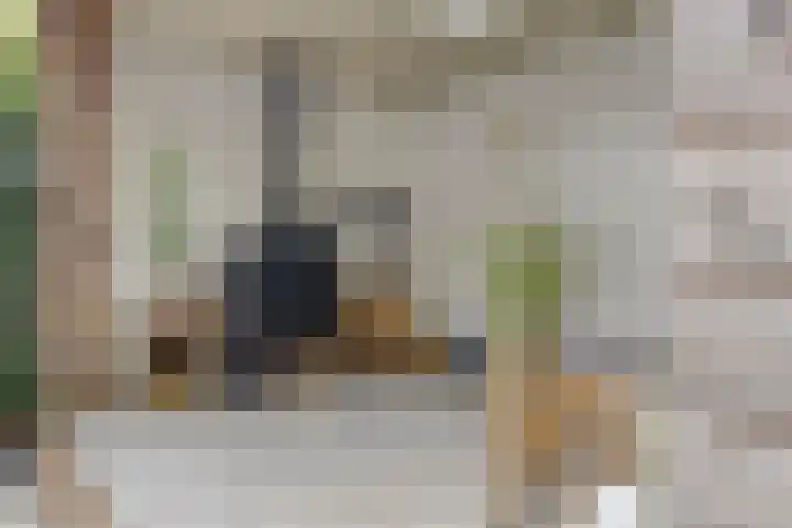 Johannes Vermeerstraat 17 Oisterwijk thumbnail 37