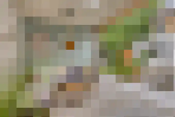 Johannes Vermeerstraat 17 Oisterwijk thumbnail 38