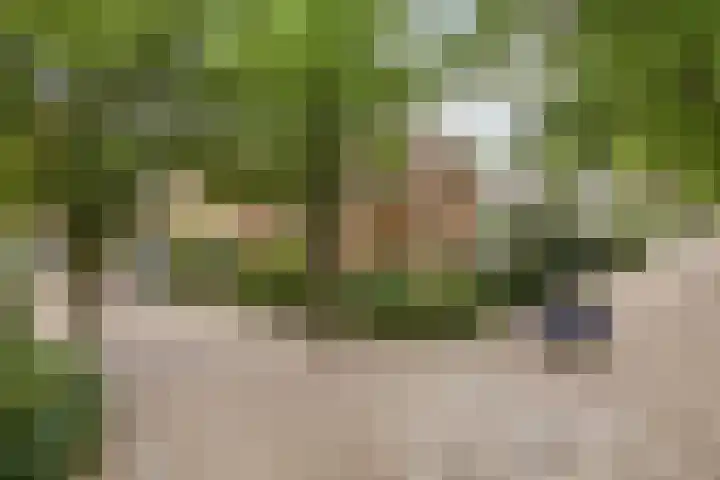 Johannes Vermeerstraat 17 Oisterwijk thumbnail 42