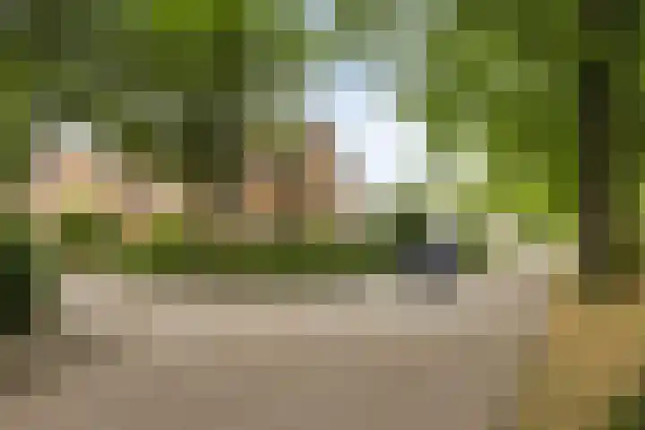 Johannes Vermeerstraat 17 Oisterwijk thumbnail 6