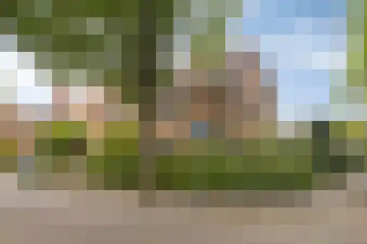 Johannes Vermeerstraat 17 Oisterwijk thumbnail 7