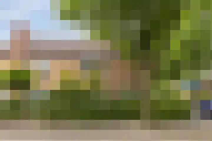Johannes Vermeerstraat 17 Oisterwijk thumbnail 8