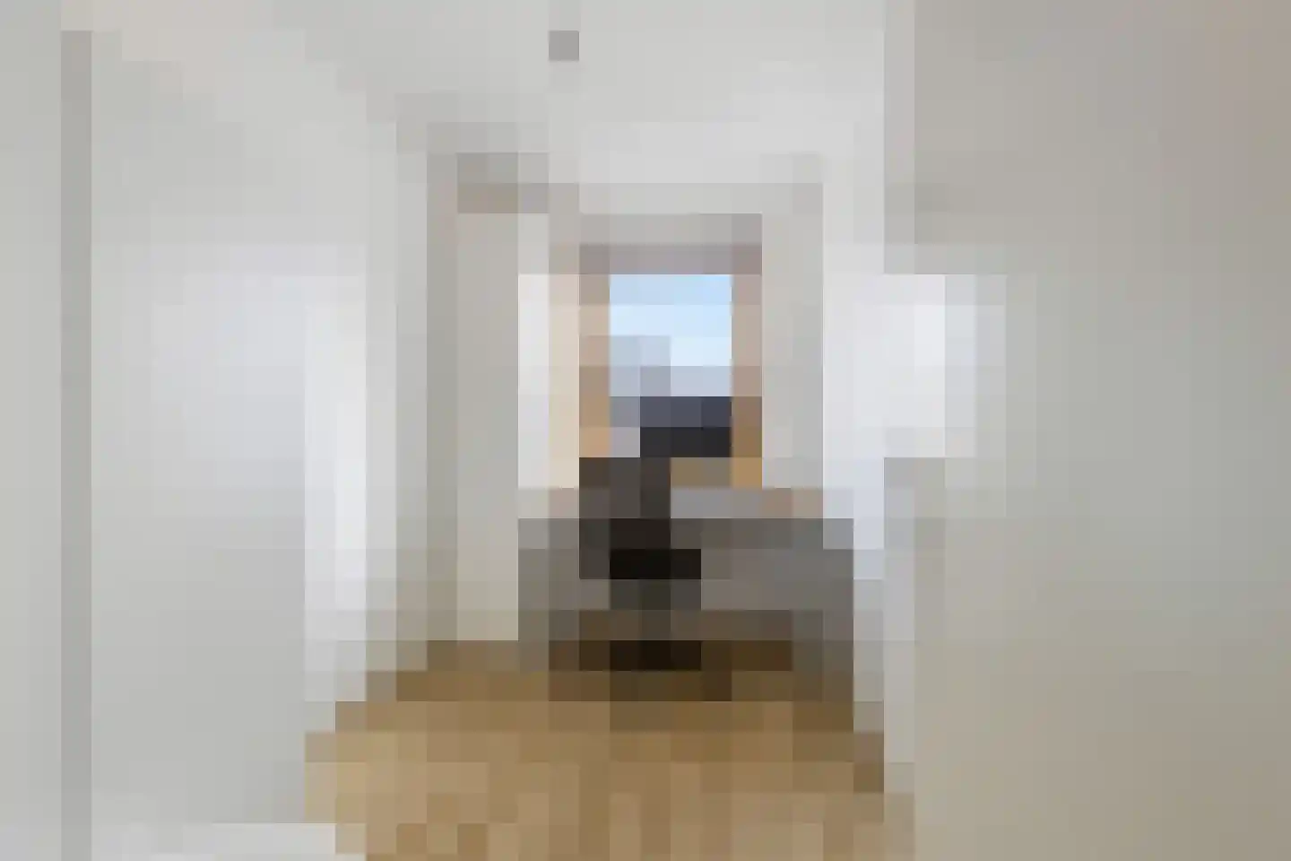 Johannes Vermeerstraat 18 Dordrecht thumbnail 27