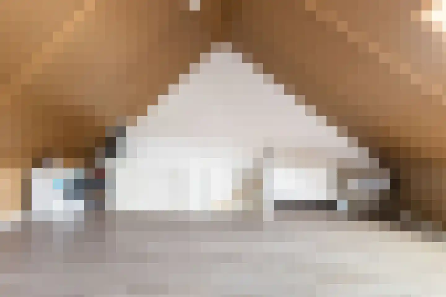 Johannes Vermeerstraat 18 Dordrecht thumbnail 29