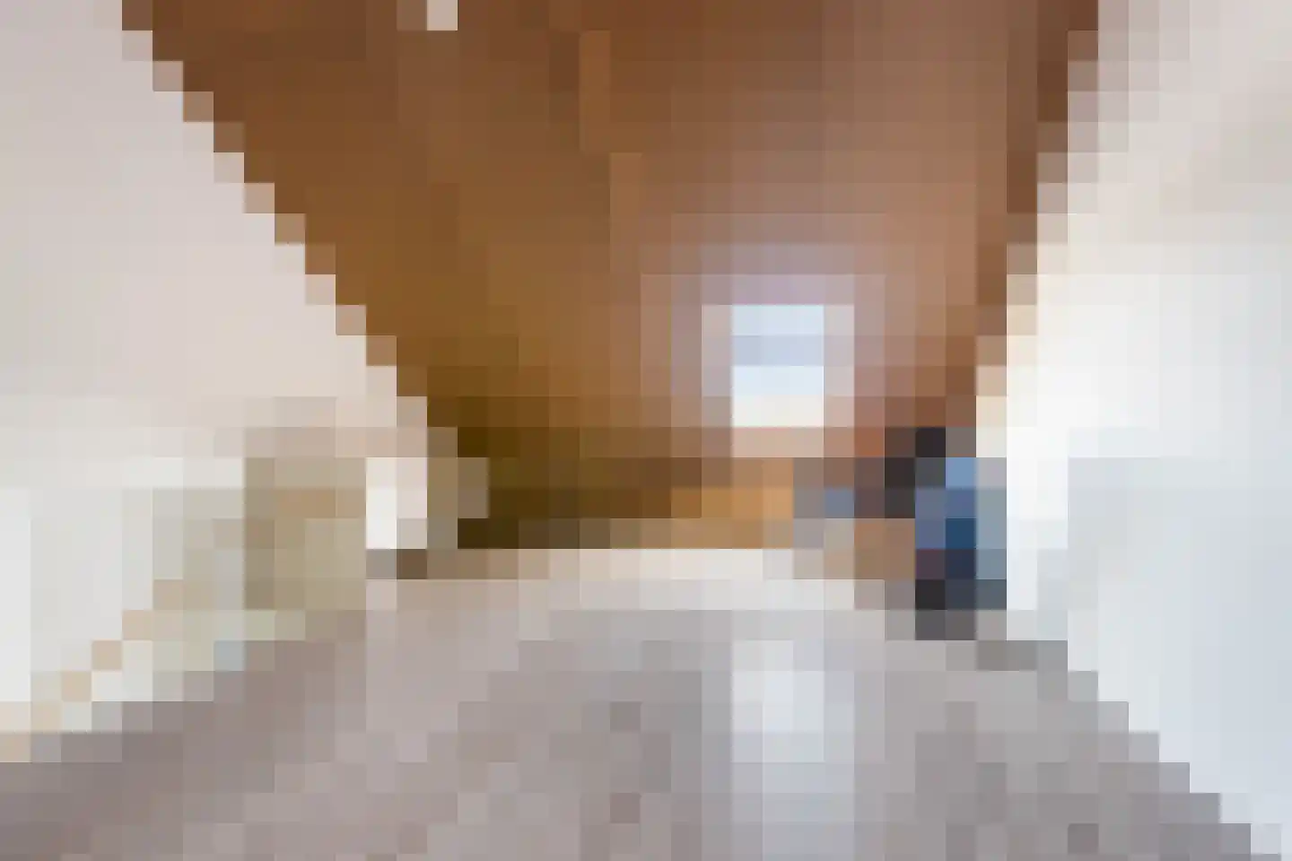 Johannes Vermeerstraat 18 Dordrecht thumbnail 31