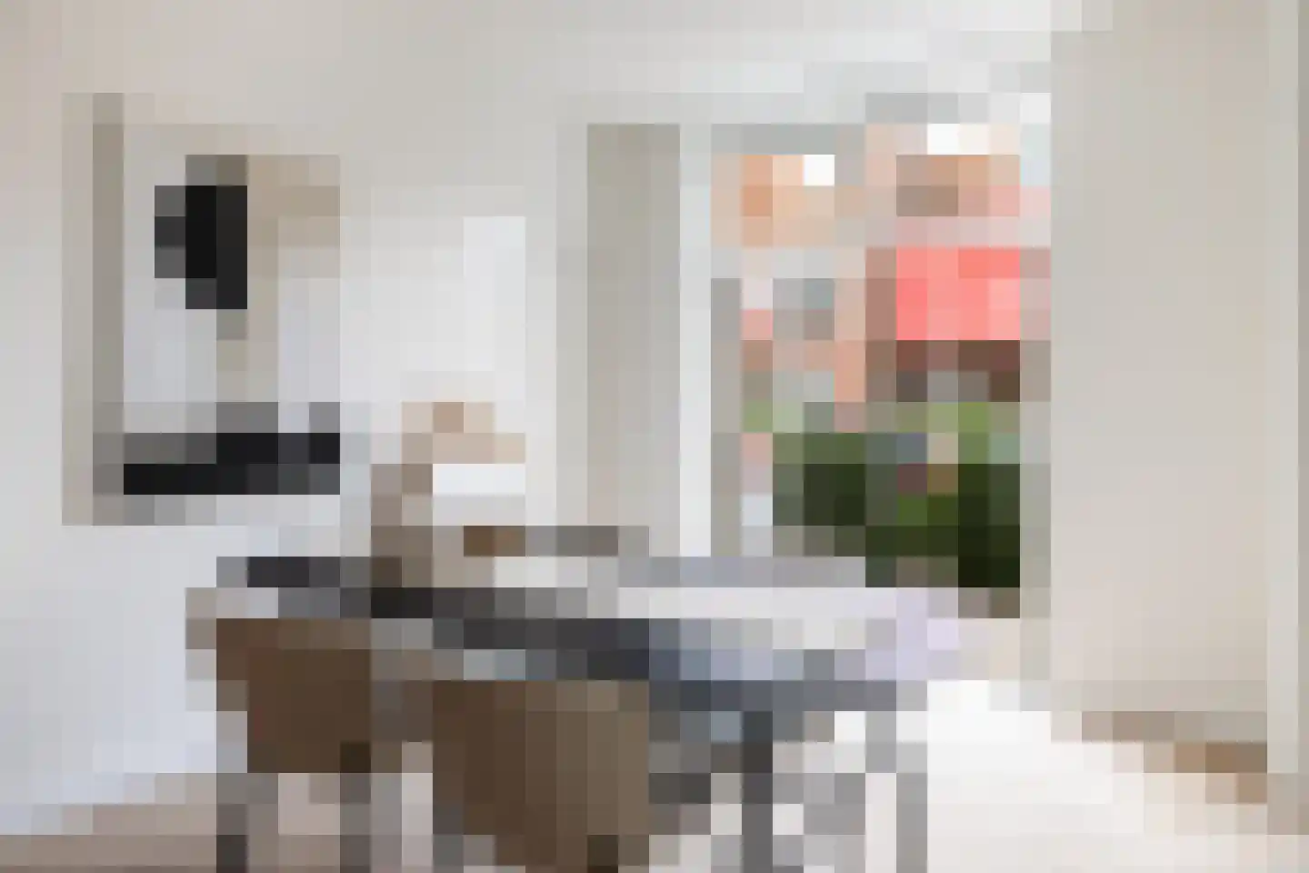 Johannes Vermeerstraat 2 BS Utrecht thumbnail 11