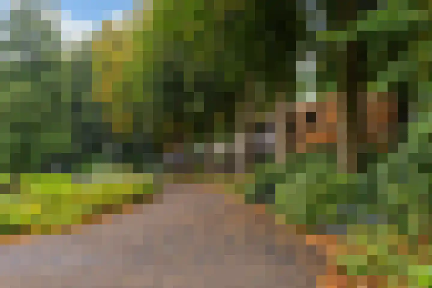 Johannes Vermeerstraat 2 BS Utrecht thumbnail 35