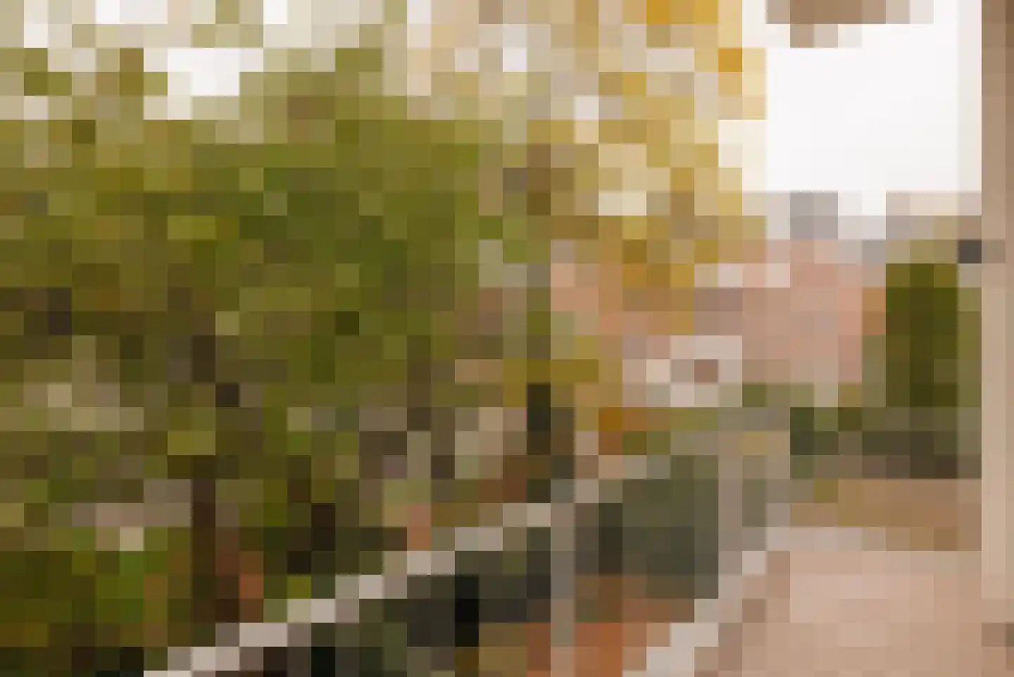 Johannes Vermeerstraat 20 Amsterdam thumbnail 16