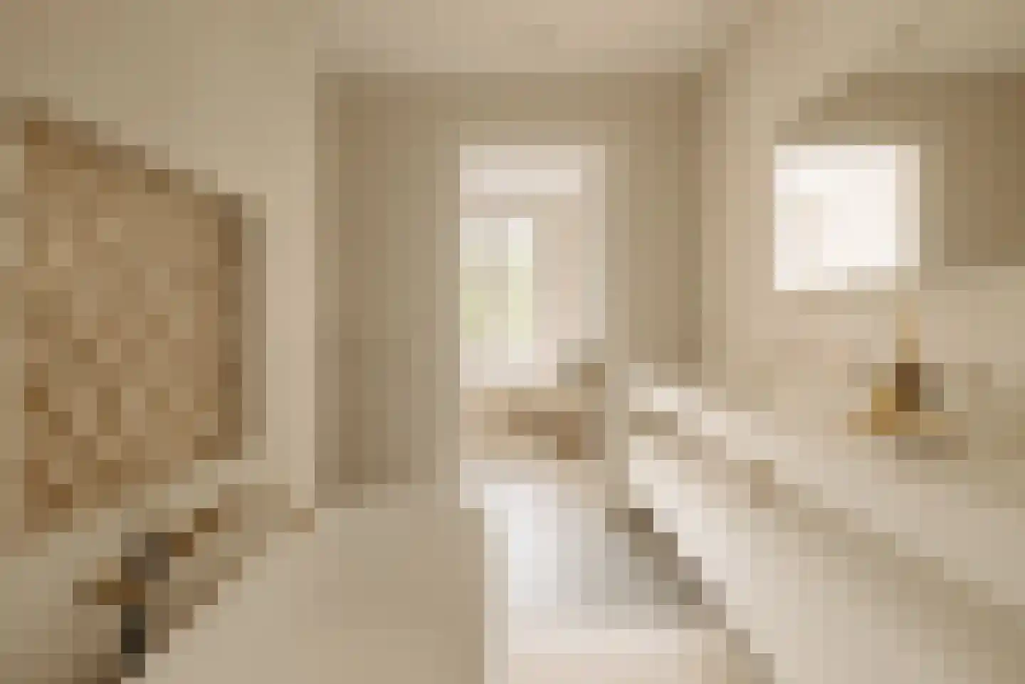 Johannes Vermeerstraat 20 Amsterdam thumbnail 19