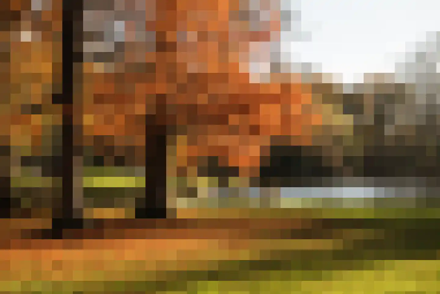 Johannes Vermeerstraat 20 Amsterdam thumbnail 36