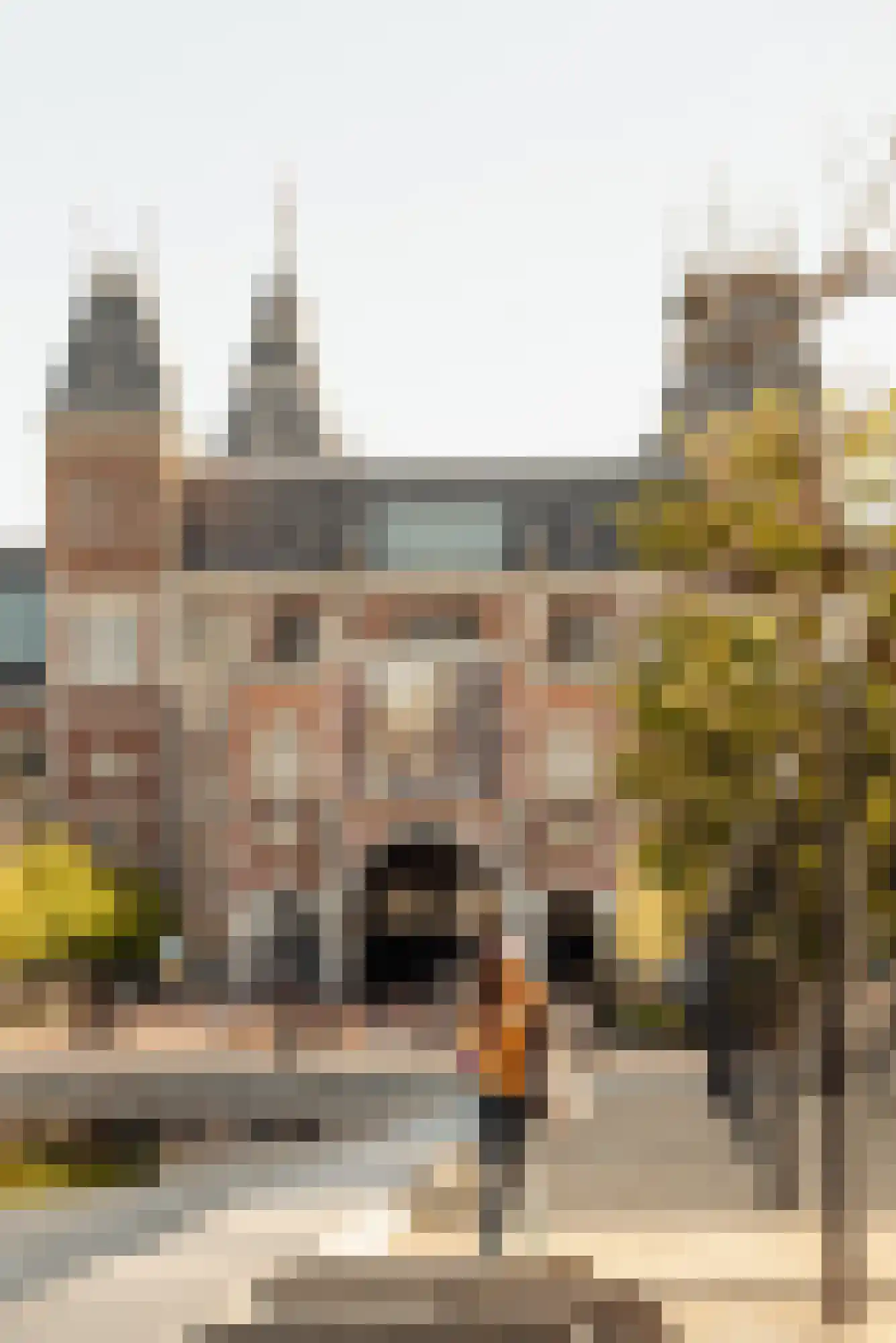 Johannes Vermeerstraat 20 Amsterdam thumbnail 38