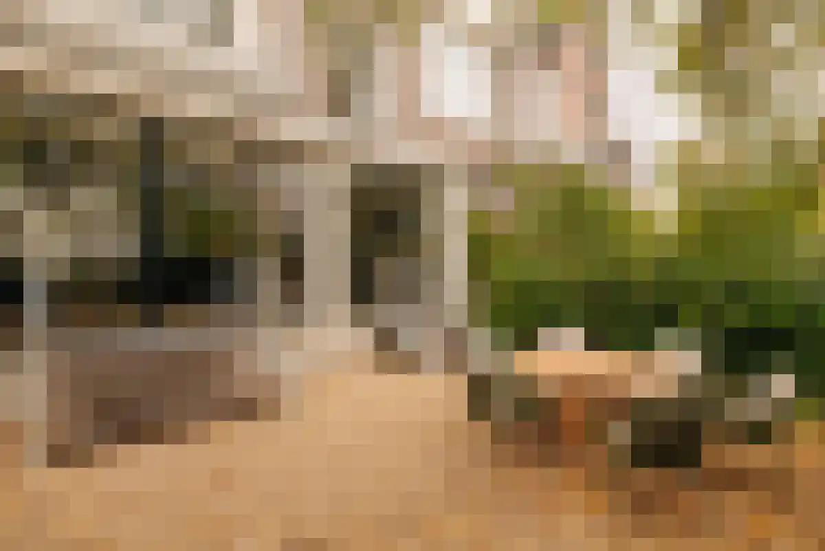 Johannes Vermeerstraat 20 Amsterdam thumbnail 5