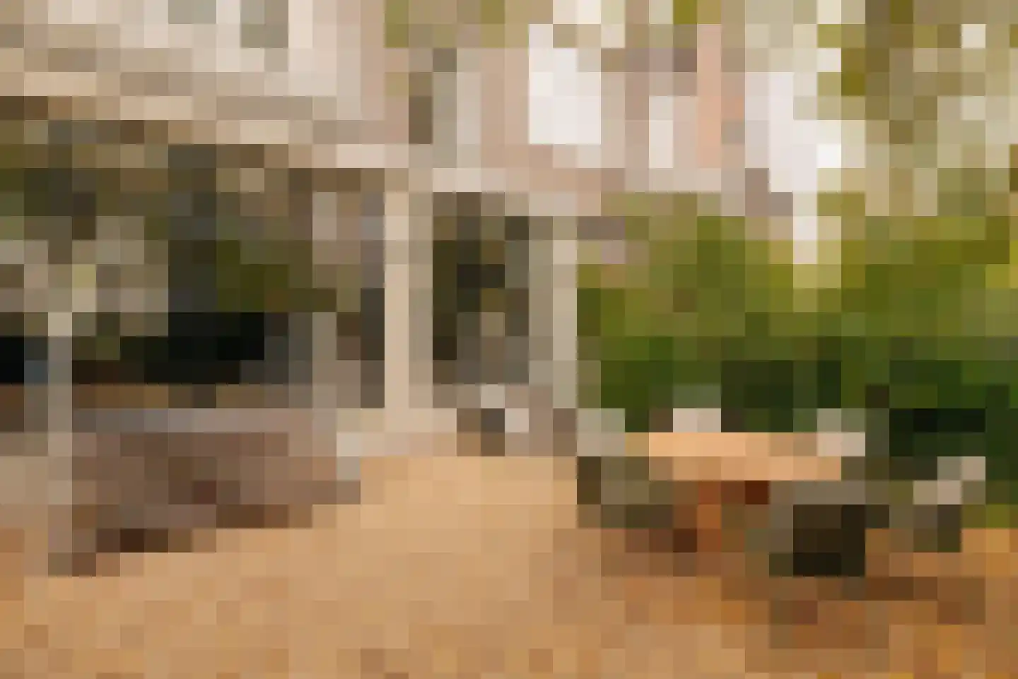 Johannes Vermeerstraat 20 Amsterdam thumbnail 5