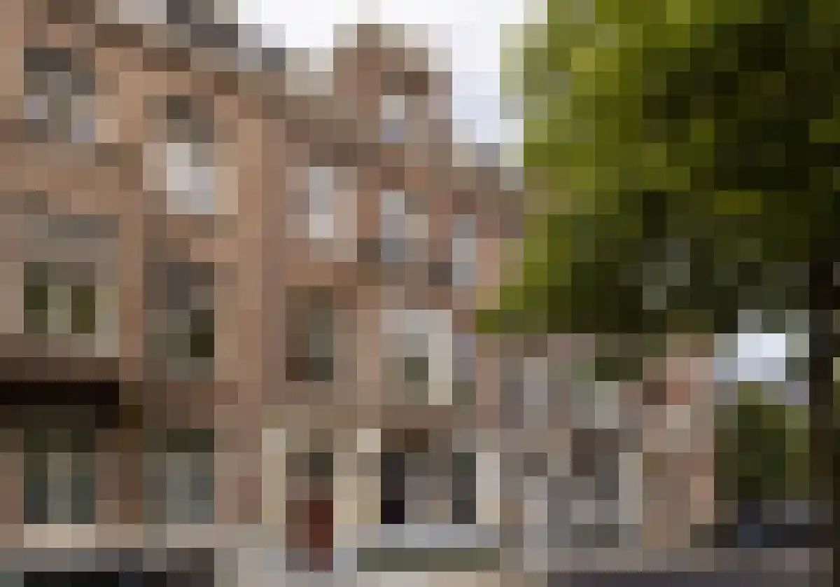 Johannes Vermeerstraat 20 Amsterdam thumbnail 6