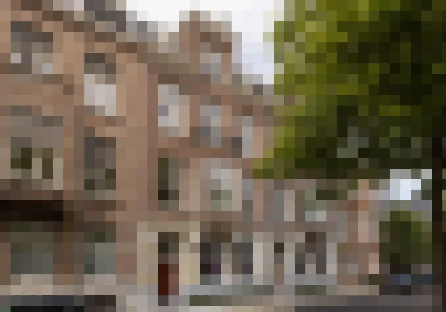 Johannes Vermeerstraat 20 Amsterdam thumbnail 6