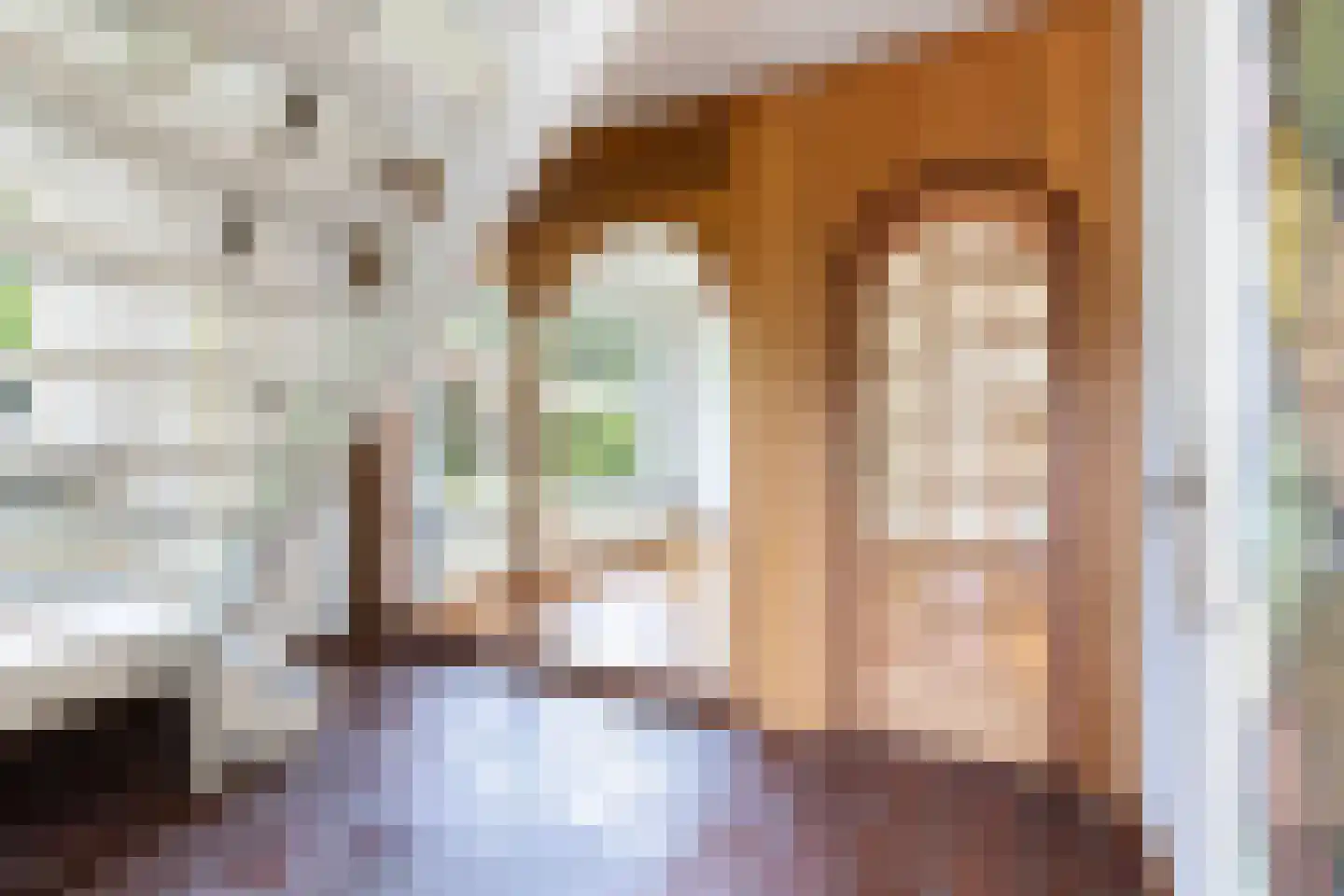 Johannes Vermeerstraat 20 Bergen L thumbnail 10