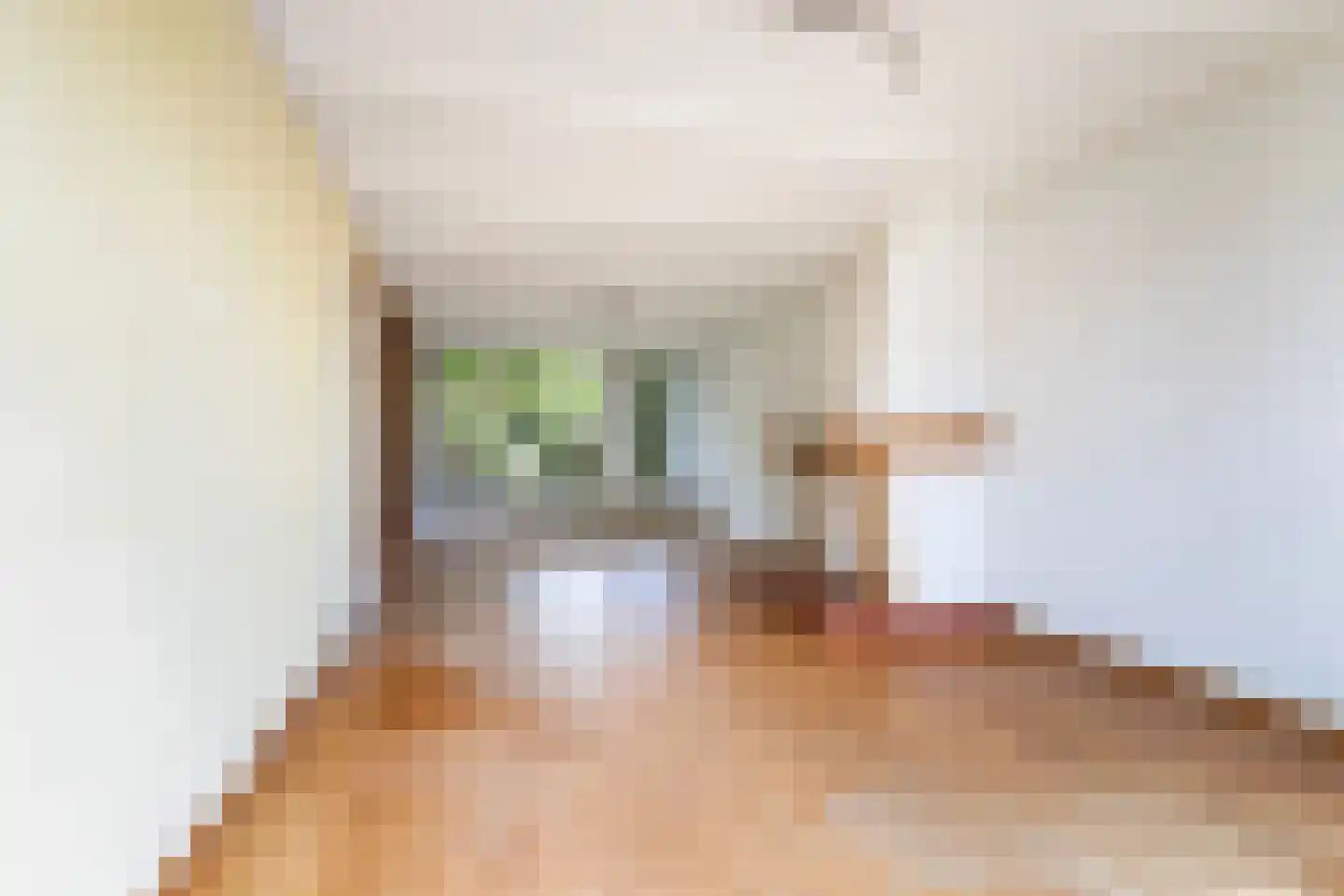 Johannes Vermeerstraat 20 Bergen L thumbnail 12