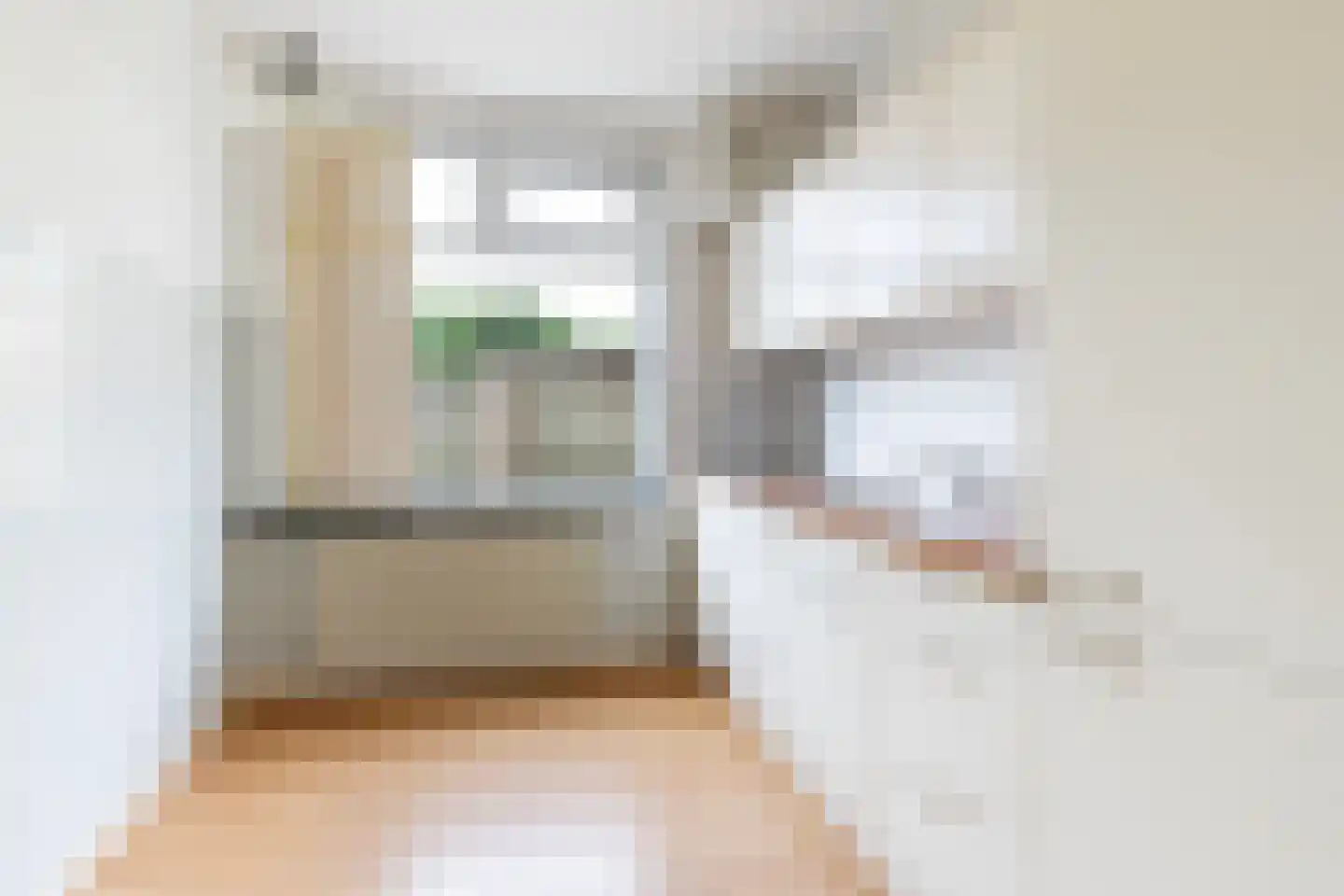 Johannes Vermeerstraat 20 Bergen L thumbnail 14