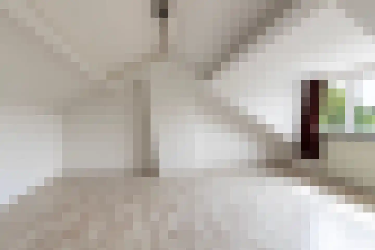 Johannes Vermeerstraat 20 Bergen L thumbnail 18