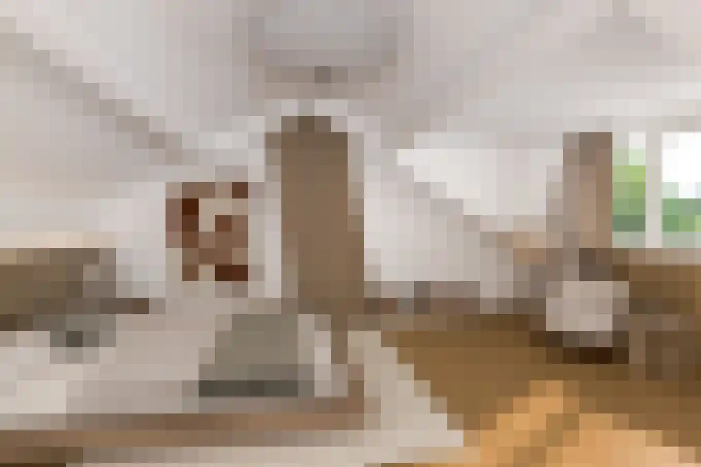 Johannes Vermeerstraat 20 Bergen L thumbnail 19
