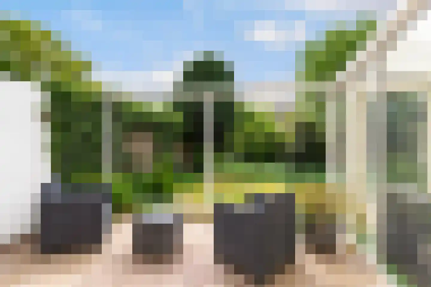 Johannes Vermeerstraat 20 Bergen L thumbnail 4