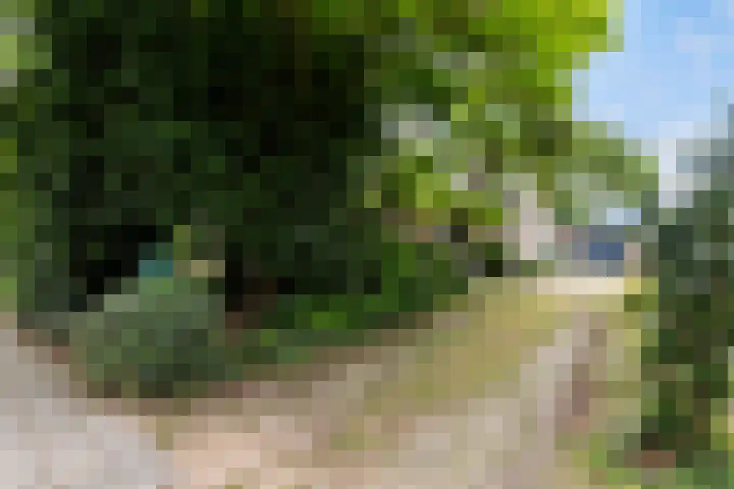 Johannes Vermeerstraat 20 Bergen L thumbnail 5