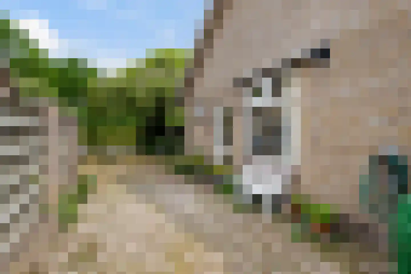 Johannes Vermeerstraat 20 Bergen L thumbnail 7