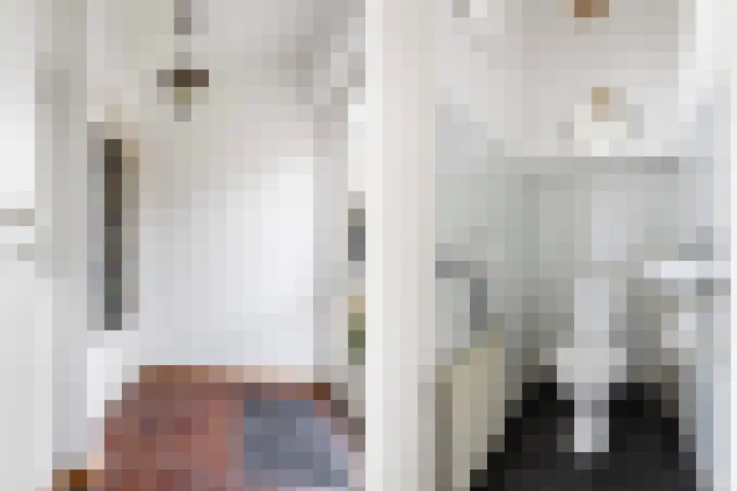 Johannes Vermeerstraat 20 Bergen L thumbnail 8