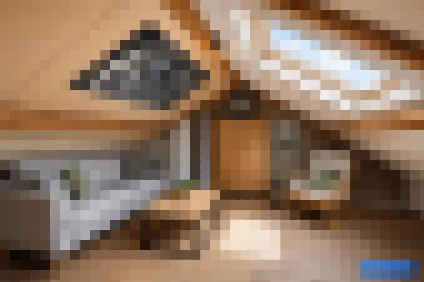 Johannes Vermeerstraat 20 Bunschoten-Spakenburg thumbnail 21