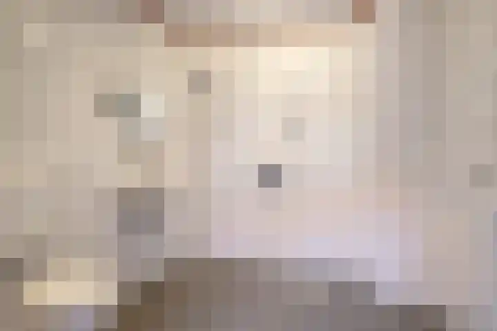 Johannes Vermeerstraat 22 Krimpen aan de Lek thumbnail 14