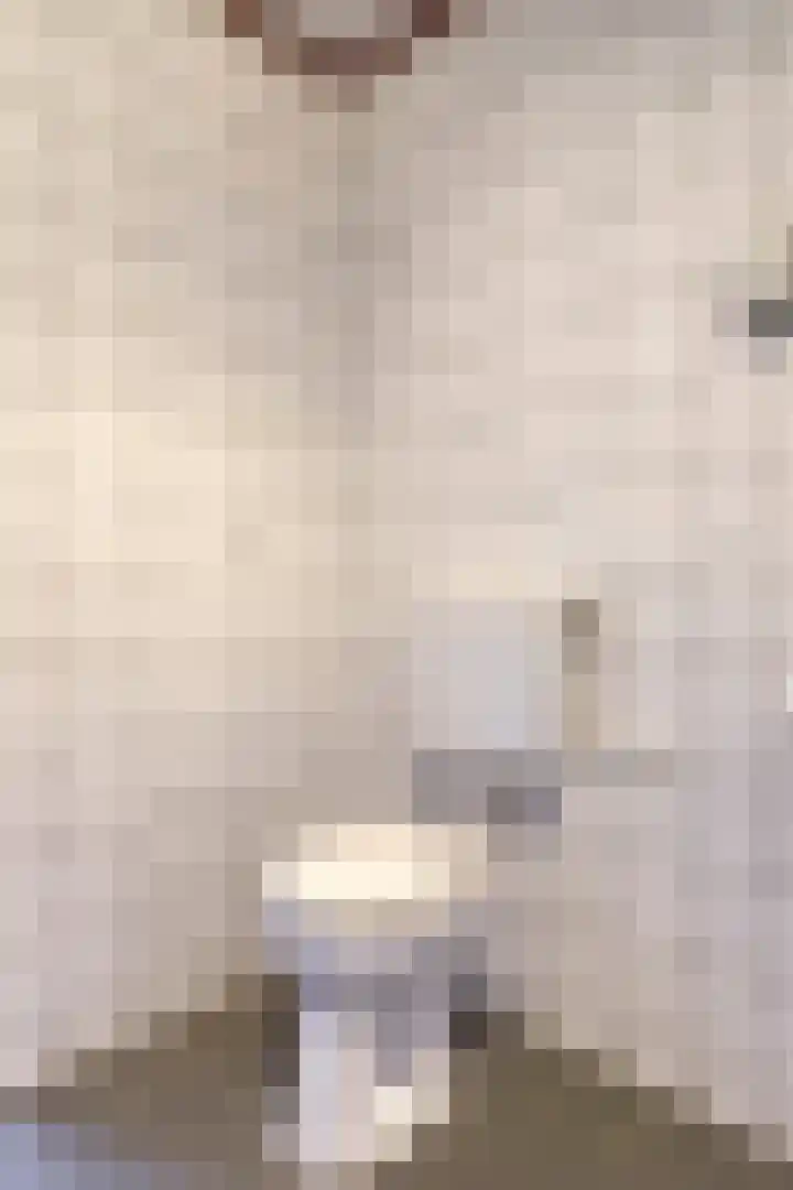 Johannes Vermeerstraat 22 Krimpen aan de Lek thumbnail 16