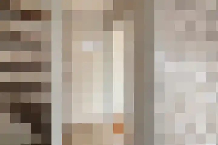 Johannes Vermeerstraat 22 Krimpen aan de Lek thumbnail 17
