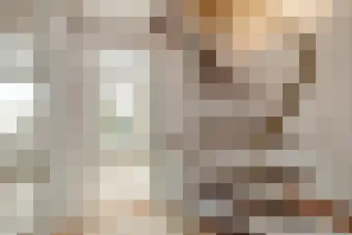 Johannes Vermeerstraat 22 Krimpen aan de Lek thumbnail 18